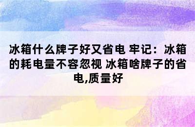 冰箱什么牌子好又省电 牢记：冰箱的耗电量不容忽视 冰箱啥牌子的省电,质量好